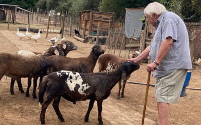 ‘n REISVERHAALTJIE