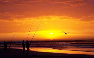 KUIER LEKKER OP MOOIE MELKBOS